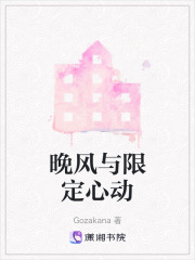 晚风与限定心动在线阅读
