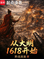 从大明1618开始封面