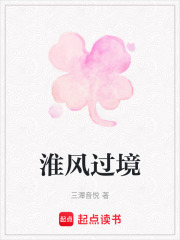 淮风过境在线阅读