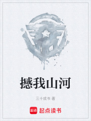 撼我山河在线阅读