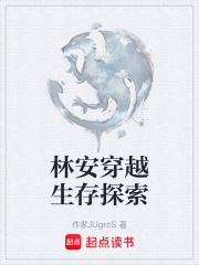 林安穿越生存探索在线阅读
