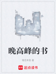 晚高峰的书