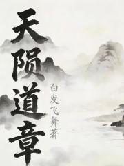 天陨道章