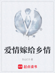 爱情嫁给乡情在线阅读