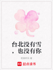 台北没有雪，也没有你在线阅读