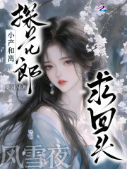 小产和离，探花郎风雪夜求回头在线阅读