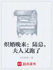 炽婚晚来：陆总，夫人又跑了