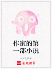 作家的第一部小说在线阅读