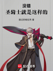 没错，圣骑士就是这样的在线阅读