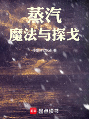 蒸汽，魔法与探戈在线阅读