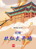 红楼：从仙武开始封面