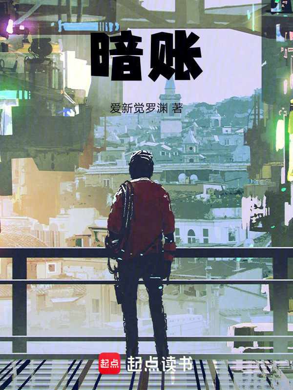暗账在线阅读