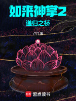 如来神掌2：递归之桥最新章节在线阅读
