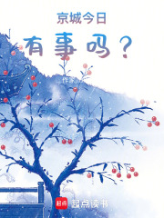 京城今日有事吗？在线阅读