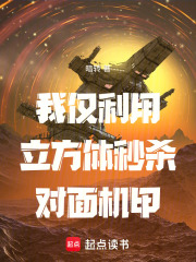 我仅利用立方体秒杀对面机甲在线阅读