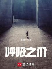 呼吸之价在线阅读