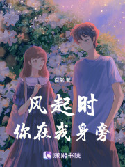 风起时，你在我身旁在线阅读