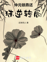 仲元锁燕还珠逆转局在线阅读