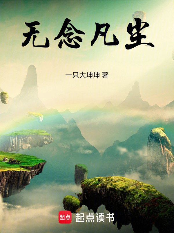 无念之仙封面