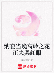 纳妾当晚高岭之花正夫哭红眼在线阅读
