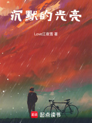 沉默的光亮在线阅读