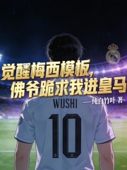 觉醒梅西模板，佛爷跪求我进皇马在线阅读