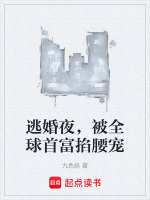 逃婚夜，被全球首富掐腰宠最新章节在线阅读
