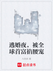逃婚夜，被全球首富掐腰宠在线阅读