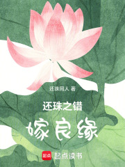 还珠之错嫁良缘