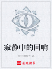 寂静中的回响在线阅读