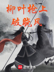 柳叶枪上破晓风在线阅读