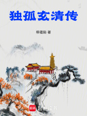 独孤玄清传在线阅读