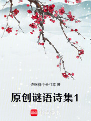原创谜语诗集