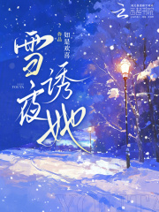 雪夜诱她