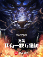 完美：我有一颗万道树