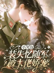 失忆变心？七零娇娇改嫁军官小叔