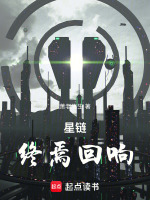 星链：终焉回响封面
