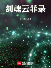 剑魂云菲录在线阅读