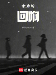 最后的回响在线阅读