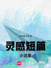 灵感短篇小说集在线阅读
