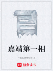 嘉靖第一相在线阅读