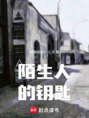 陌生人的钥匙在线阅读