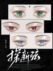 探新弦在线阅读