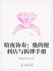 暗夜协奏：他的便利店与拆弹手册