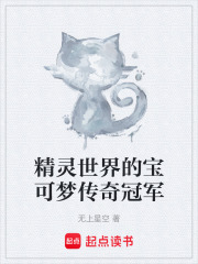 精灵世界的宝可梦传奇冠军