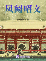 凤阙昭文在线阅读