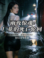 雨夜惊魂：厂花的死亡轮回在线阅读