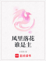 风里落花谁是主最新章节在线阅读