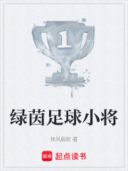 绿茵足球小将