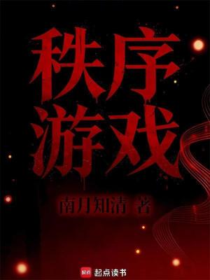 秩序游戏封面